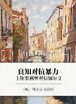 良知对抗暴力  卡斯泰利奥对抗加尔文 封面