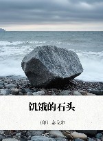 饥饿的石头 封面