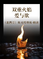 双重火焰  爱与欲 封面