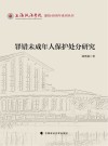 上海政法学院建校40周年系列丛书  罪错未成年人保护处分研究 封面