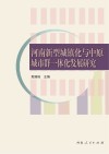 河南新型城镇化与中原城市群一体化发展研究 封面