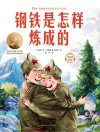 钢铁是怎样炼成的 封面