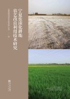 宁夏盐渍化耕地农艺改良利用技术研究 封面