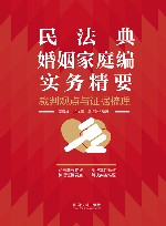 民法典婚姻家庭编实务精要  裁判观点与证据梳理 封面