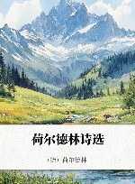 荷尔德林诗选 封面