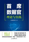 首席数据官  理论与实践 封面