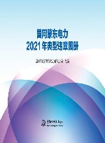 国网蒙东电力2021年典型违章图册 封面