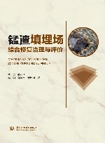 锰渣填埋场综合修复治理与评价 封面
