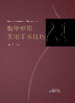 腹壁整形实用手术技巧 封面