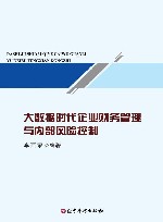 大数据时代企业财务管理与内部风险控制 封面