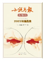 小说月报2022年精品集  大字版 封面